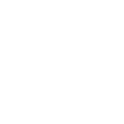 VHB